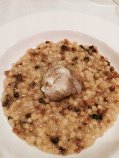 fregola